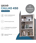 Шкаф навесной с зеркалом Callao 450